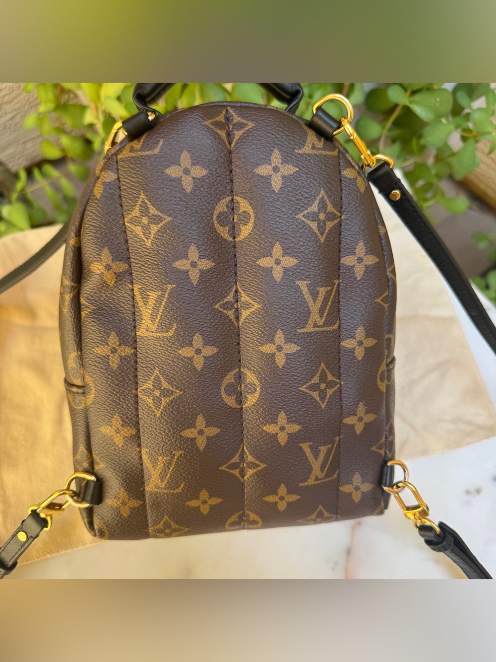 Louis Vuitton Monogram Mini Palm Springs Backpack - Picture 3 of 16